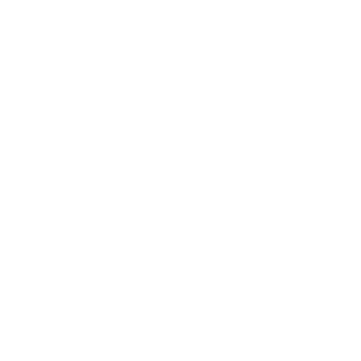 Sitio web y presencia básica en internet